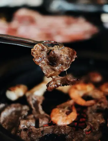 pinca-pegar-pedaco-de-carne